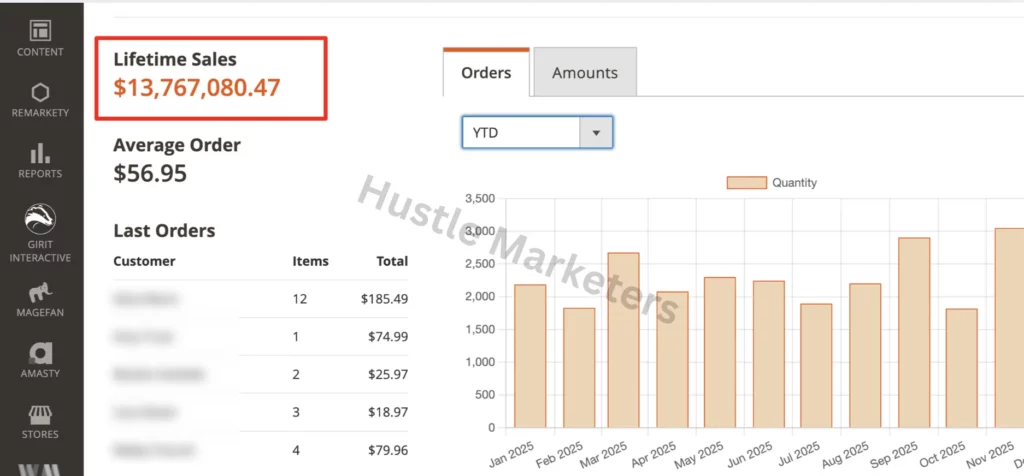Achieved 800%+ ROAS for magento store at Hustle Marketers